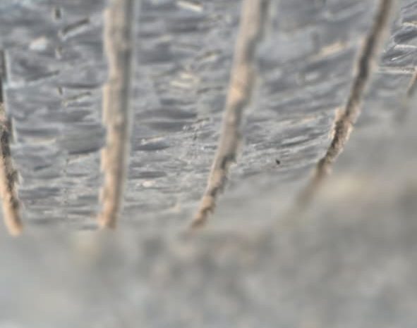 
								🚙 Mahindra Scorpio S (2023 Model) 📅 Model Year: 2023 👤 Owner: First Owner 🛞 Kilometers Driven: 45,000 km 🛡️ Insurance: Full Insurance (Bumper to Bumper) 🔑 Keys: Both Original Keys Available ⚙️ Condition: All Original 📍 Location: BAGHPAT full									